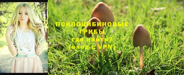 кристаллы Аркадак