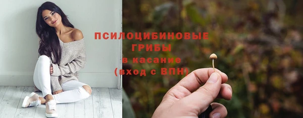 герыч Арсеньев