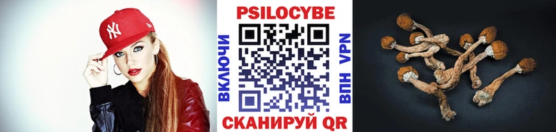 Галлюциногенные грибы ЛСД  где можно купить наркотик  Тамбов 