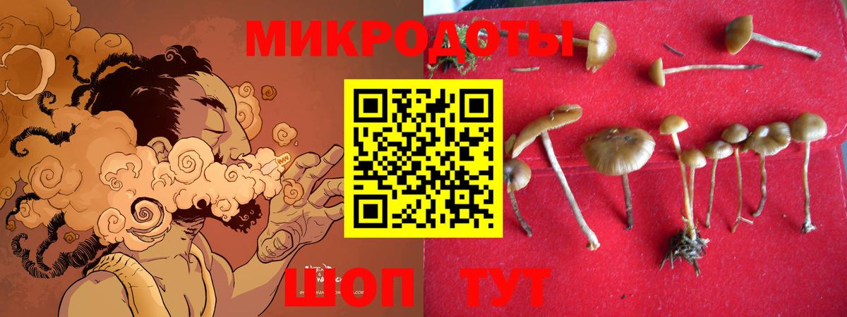 Тамбов  Галлюциногенные грибы Magic Shrooms  Галлюциногенные грибы мухоморы  Вход с VPN 