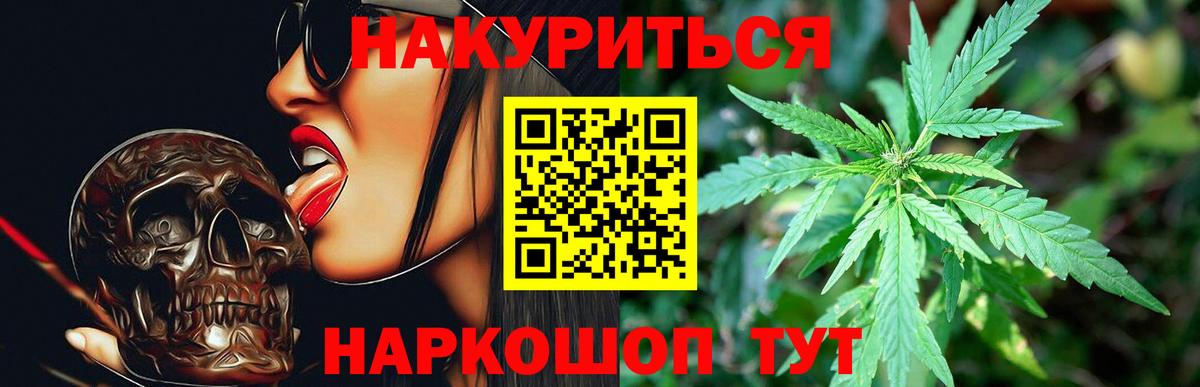 Шишки марихуана тримм  Бошки марихуана марихуана  Тамбов  Бошки Шишки сатива  Каннабис сатива  Вход с VPN 